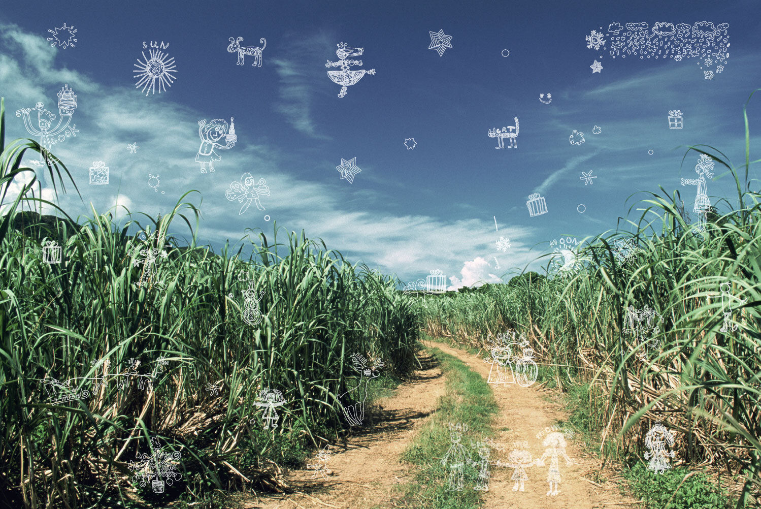 株式会社イースト｜埼玉｜東京｜リクルート